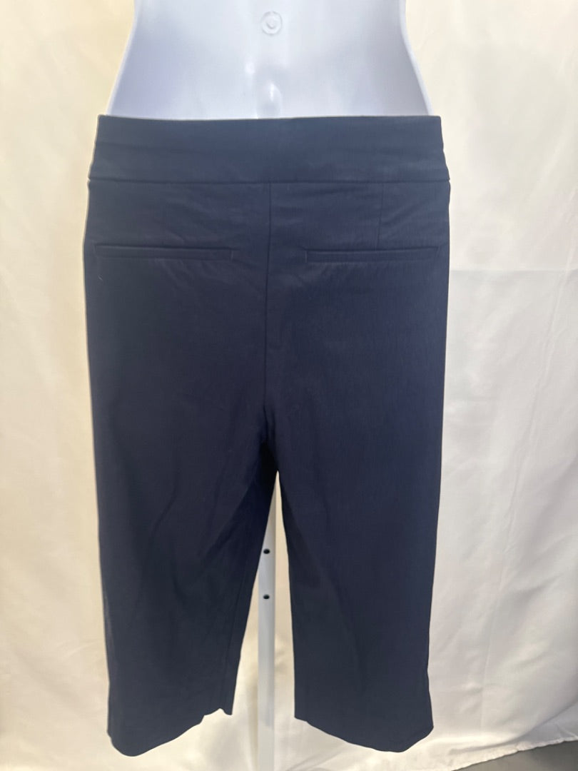 Chicos Capris, Navy, Medium