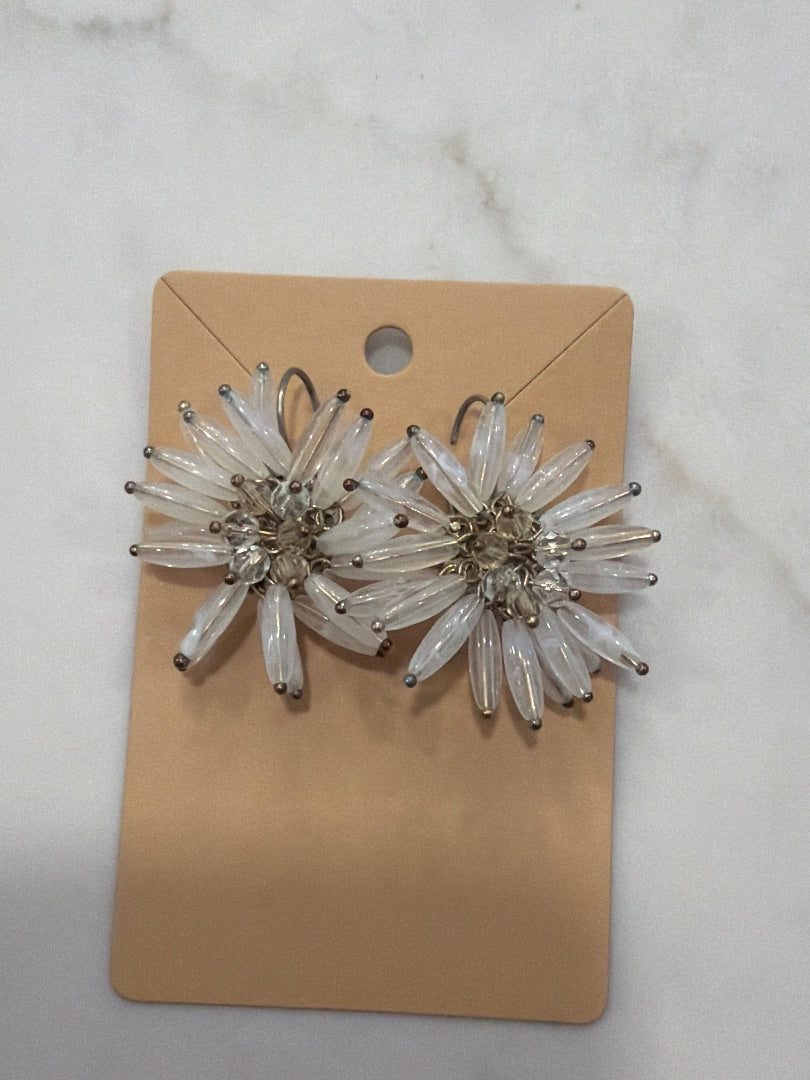 Various Earrings, Multi, One Size, Used - Good