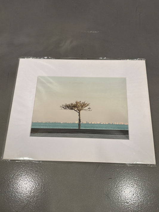 “Looking at Ft Myers Beach” 239 Studios Photograph, Multi, One Size, Brand New