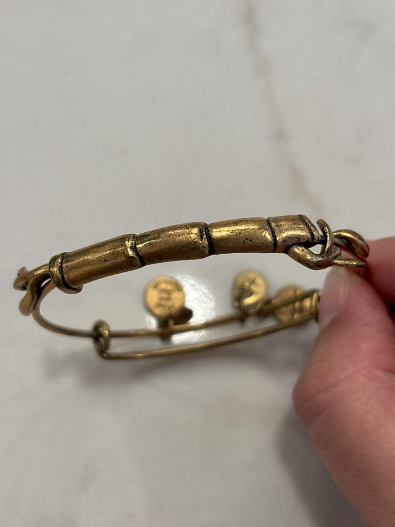 Alex & Ani Bracelet, Gold, One Size, Used - Good