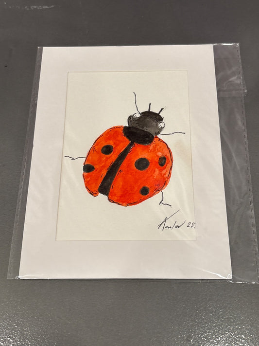 Ladybug 239 Studios Small original, Multi, One Size, Brand New