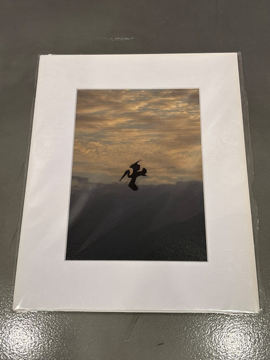 “Pelican” 239 Studios Photograph, Multi, One Size, Brand New