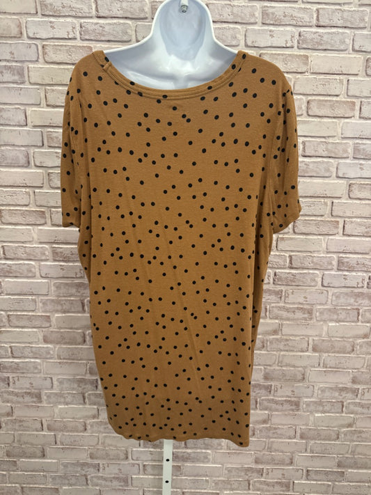 24/7 Maurices Tee shirt, Brown/black polka dots, 1, Used - Good