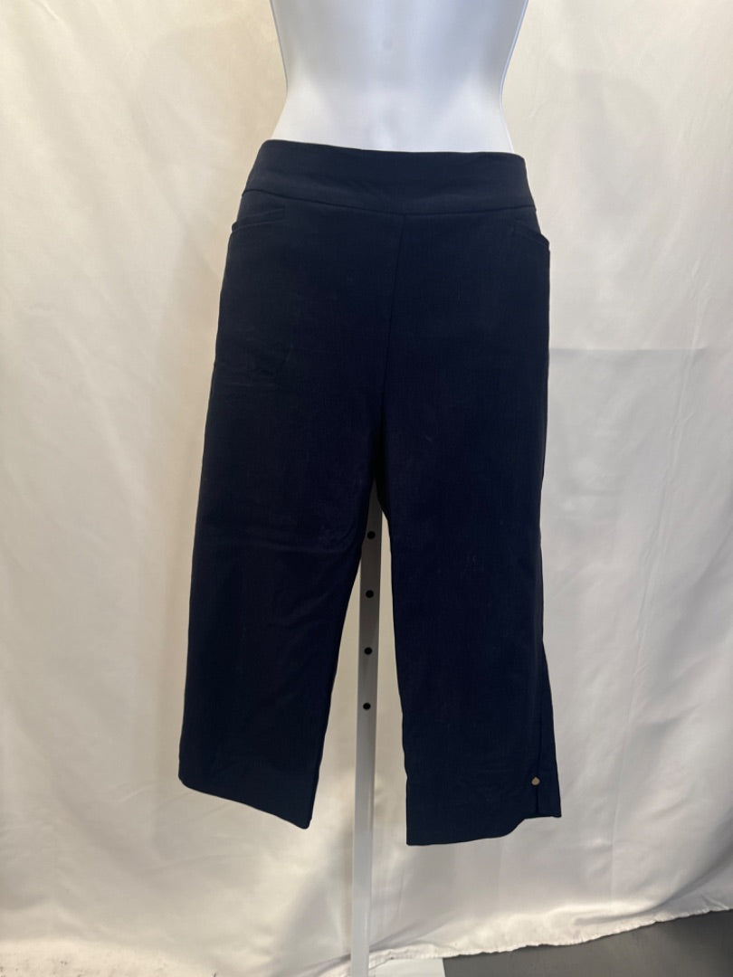 Chicos Capris, Navy, Medium