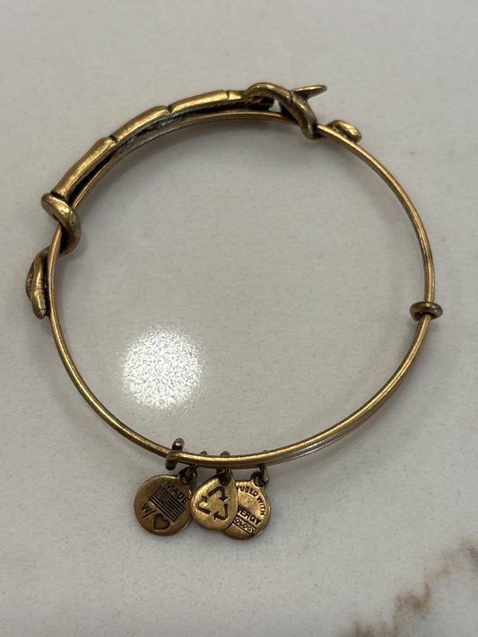 Alex & Ani Bracelet, Gold, One Size, Used - Good