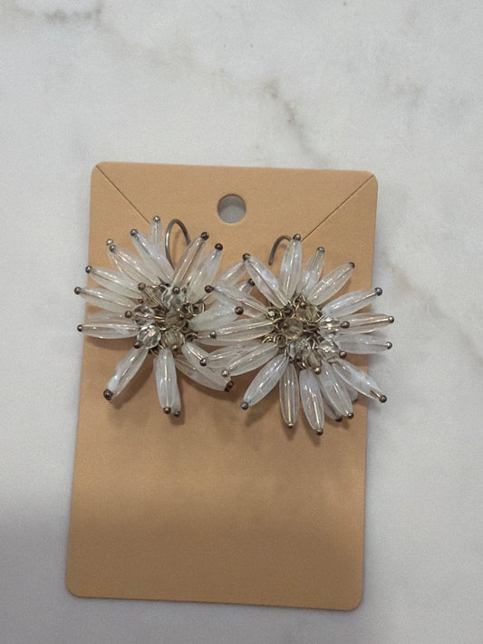 Various Earrings, Multi, One Size, Used - Good