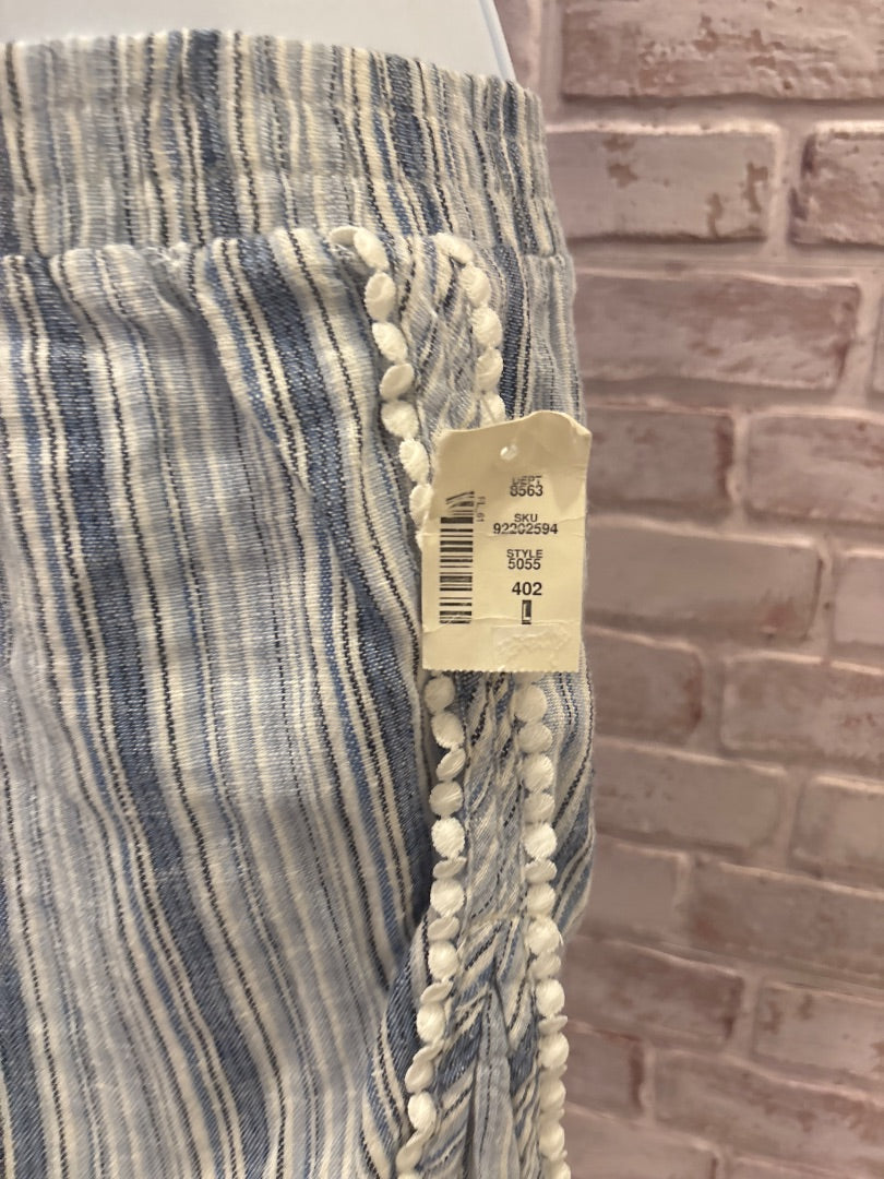 Aeropostale Shorts, Blue/white stripes, Large, Used - Good