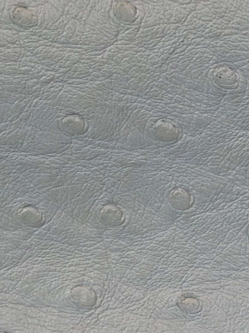 Various Bag - Crossbody – Vintage 1980s Various Ostrich Leather Crossbody, White/gold, One Size, Used - Excellent [Live 2.15]