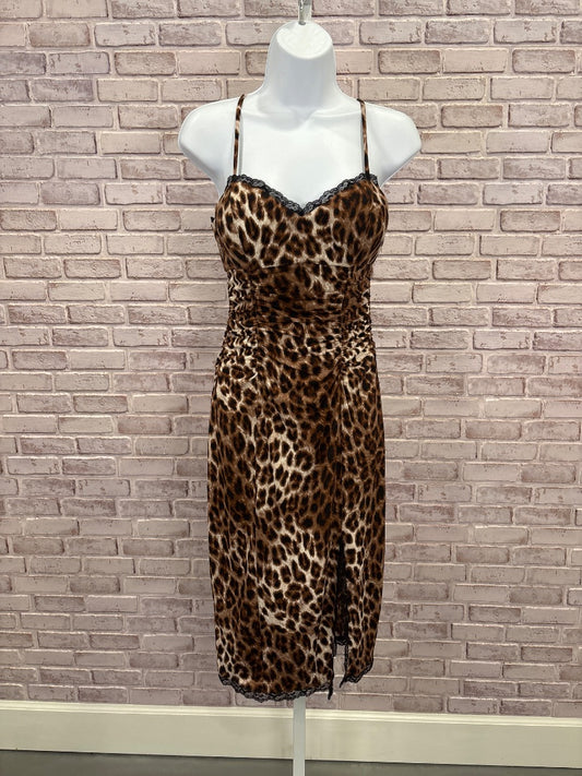 Boston Proper Dress, Leopard, 2, Used - Good
