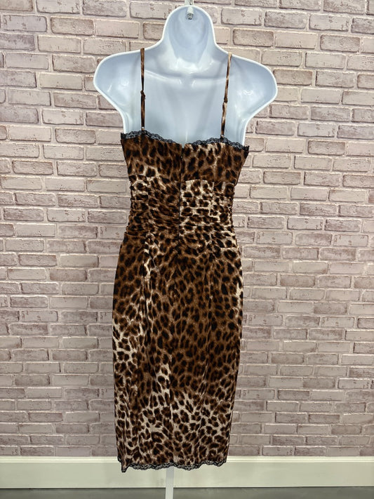 Boston Proper Dress, Leopard, 2, Used - Good